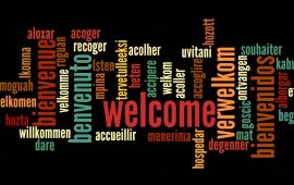 AngularJS Translation