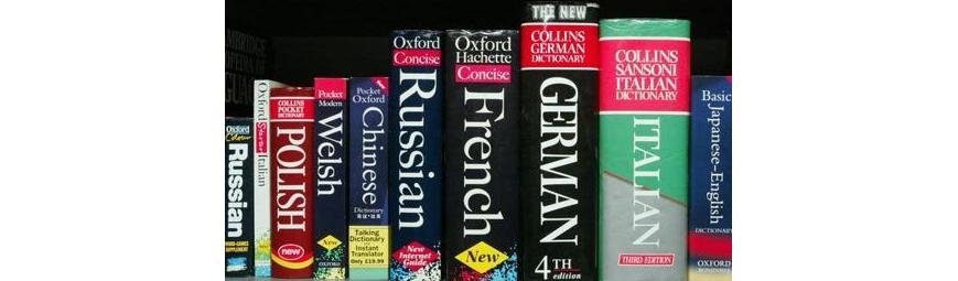 AngularJS Translation