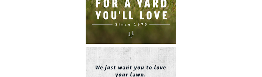 Mobile Website - Responsive web example