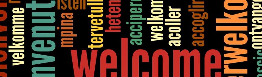 AngularJS Translation